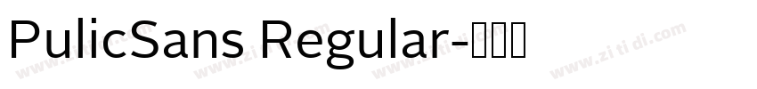 PulicSans Regular字体转换